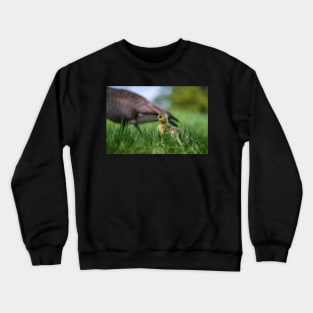 Room to Grow Crewneck Sweatshirt